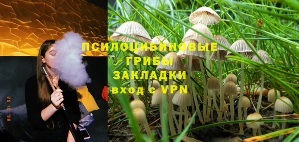 apvp Волоколамск