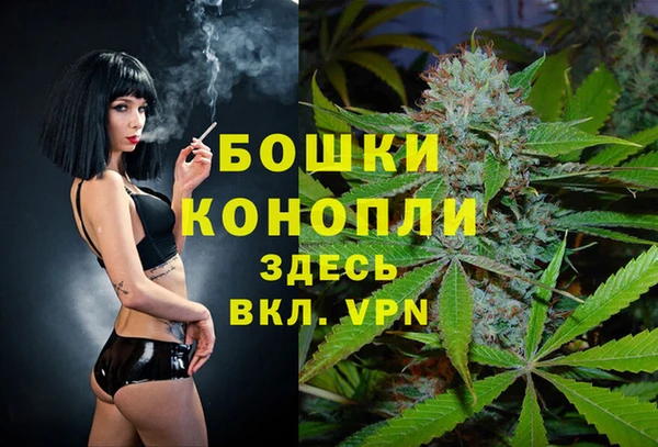 мдпв Волосово