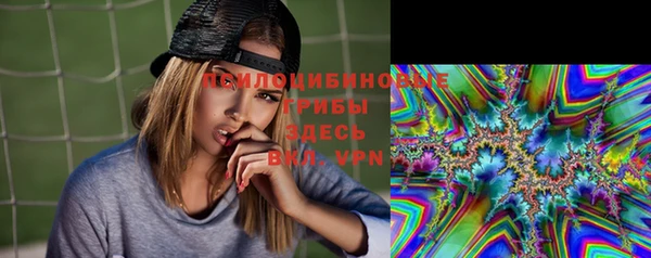ПСИЛОЦИБИНОВЫЕ ГРИБЫ Володарск