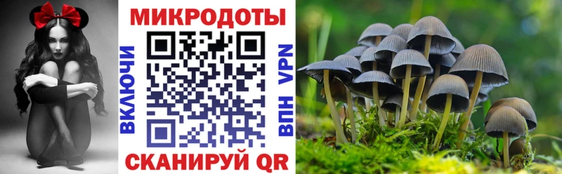 Псилоцибиновые грибы Psilocybe  Купить где  Вихоревка 